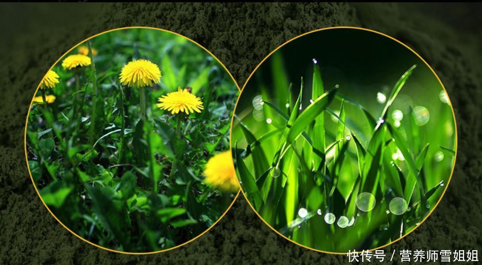 你知道,脸上的小疙瘩,挤出来的白色条状物,