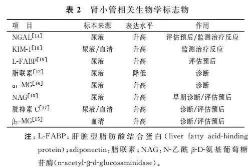 专家论坛糖尿病肾病诊断及预后生物学标志物的