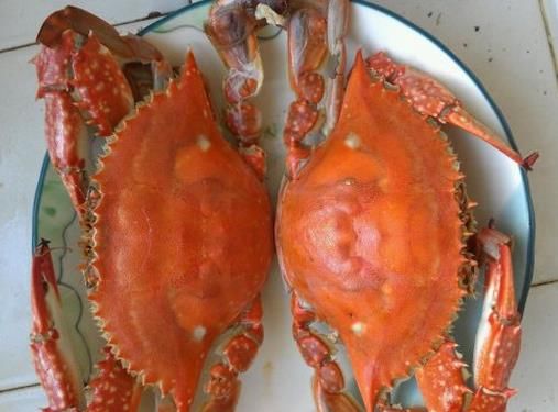 吃螃蟹过敏:吃螃蟹过敏是什么原因怎么办