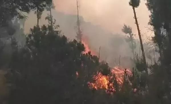 大理苍山大火,下午15点15分发现至凌晨12点3