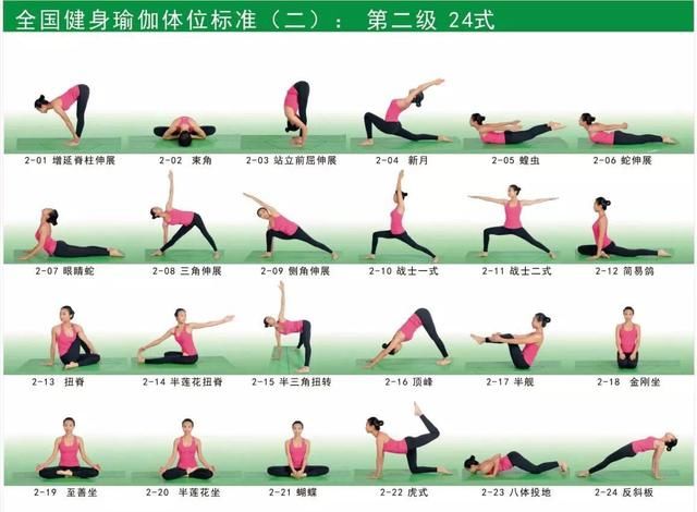 瑜伽经典体式大全