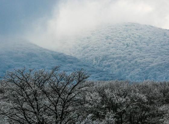 韩国冬季旅游攻略景点推荐 韩国旅游多少钱