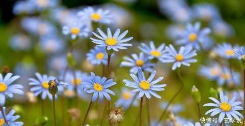 福禄双至喜事多!7月份五行流畅,日子富得流油