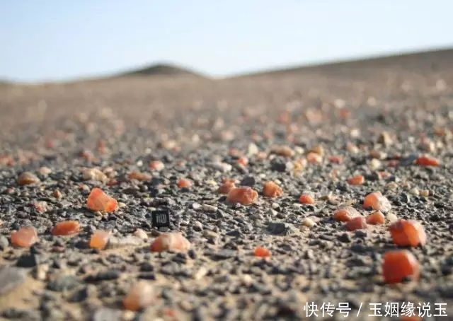玉姻缘:在新疆,有一种致富叫做捡石头.