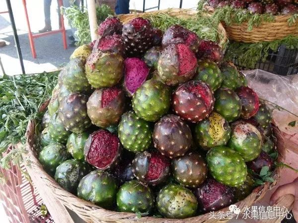 什么?仙人掌果可以吃?味道如何呢?