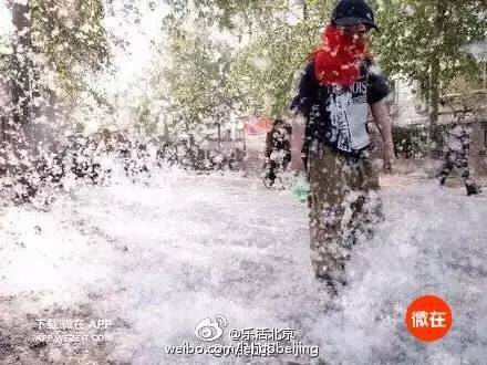 一份真诚的春天防柳絮指南,收好,然后快走! 一份真诚的春天防柳絮指南,收好,然后快走!