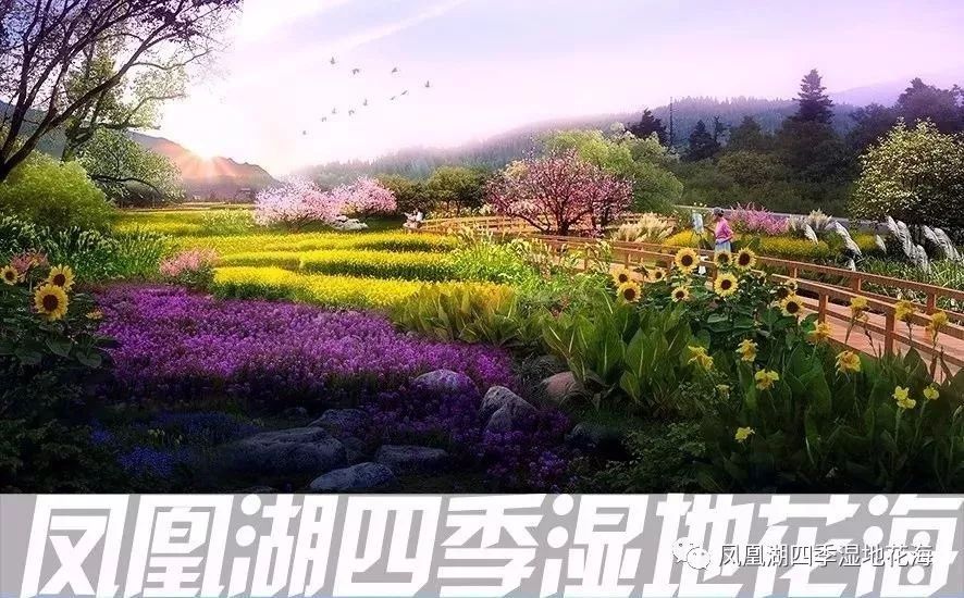 太仓双凤即将出现一座1500亩的大型景区!规划