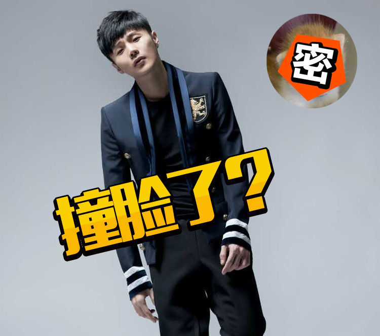 喵界李荣浩、狗界孙红雷，跟动物撞脸的明星还真不少!