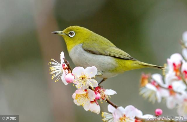 36条混社会的经验和忠告,句子虽短,受用一生