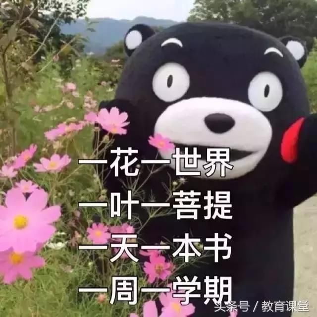 不挂科的大学是不完整的?-北京时间