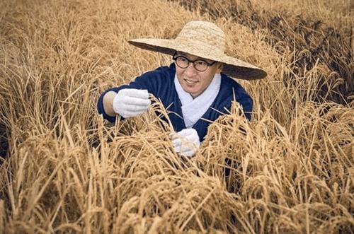 明星淡出娱乐圈都干什么?周杰大米120一斤,都