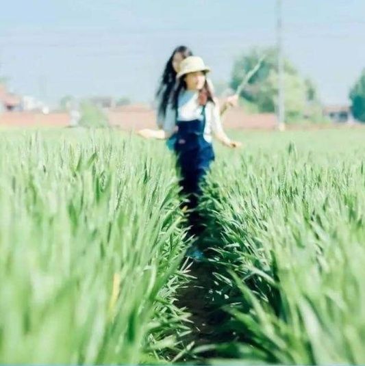 山区也有金凤凰 中国最偏僻的三所世界级大学