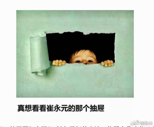 股民质问华谊兄弟为什么不起诉安娜家的铲屎君