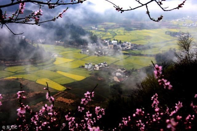 《经典咏流传》火了袁枚火了《苔》,诗人袁枚