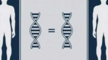 双胞胎轮换冒充男友致女子生女 DNA 查不出是谁的