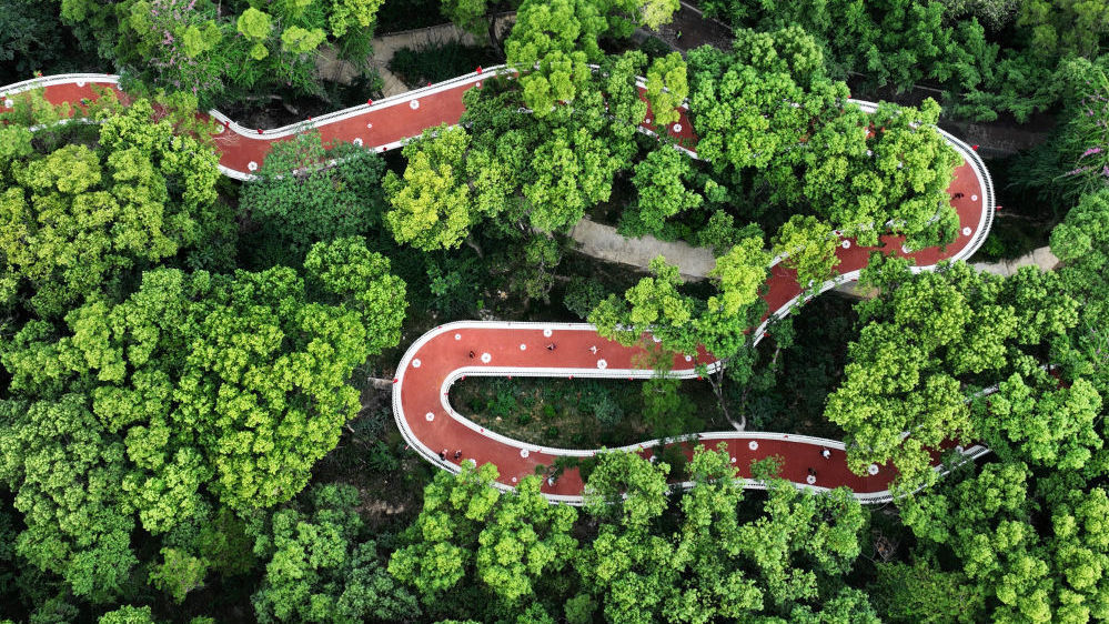 多彩神州,大美中国!墨࿐绿࿐碧࿐绿࿐蔚࿐蓝࿐太美了→ 多彩神州,大美中国!墨࿐绿࿐碧࿐绿࿐蔚࿐蓝࿐太美了→