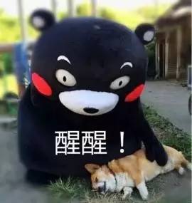 相亲女列结婚清单:男方提供房和车+20万彩礼