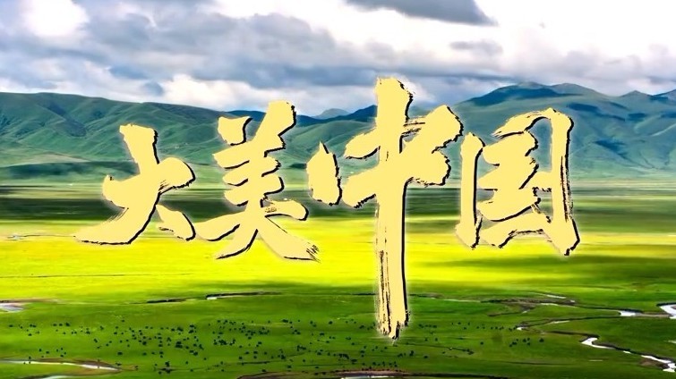 山河壮阔，春潮翻涌，大美中国！看祖国各地的春天有多美