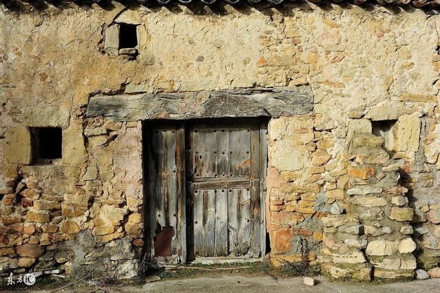 古老大槐树从遥远的黄帝时代一路走来的故事