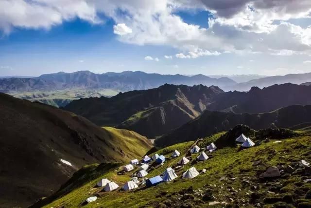2018年流行吃新鲜冬虫夏草,嚼着吃,倍儿爽!