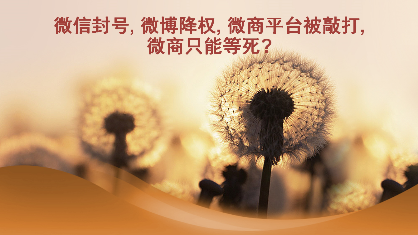 面对各方打压,微商的未来在何方?