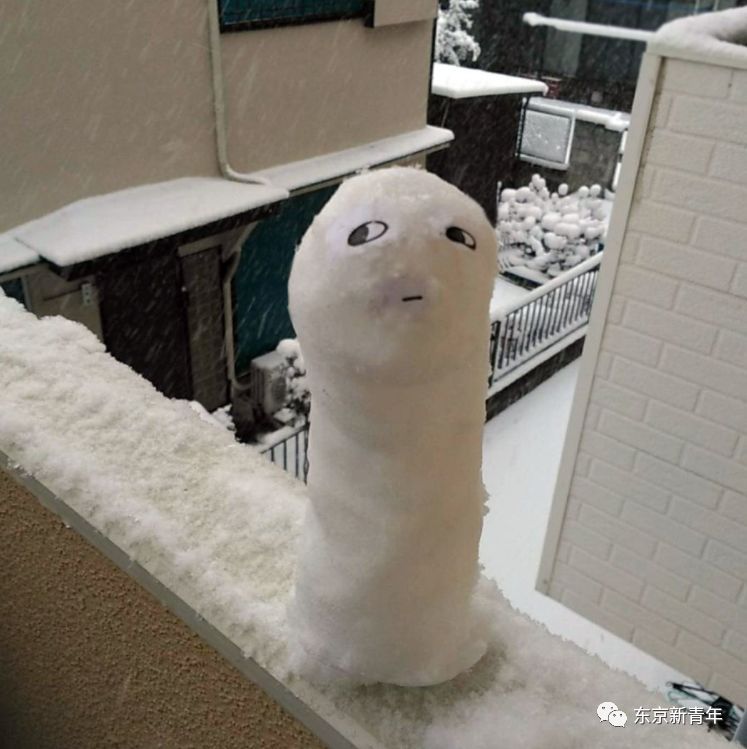 日本气象厅发大雪警报!今天东京下了一场北海