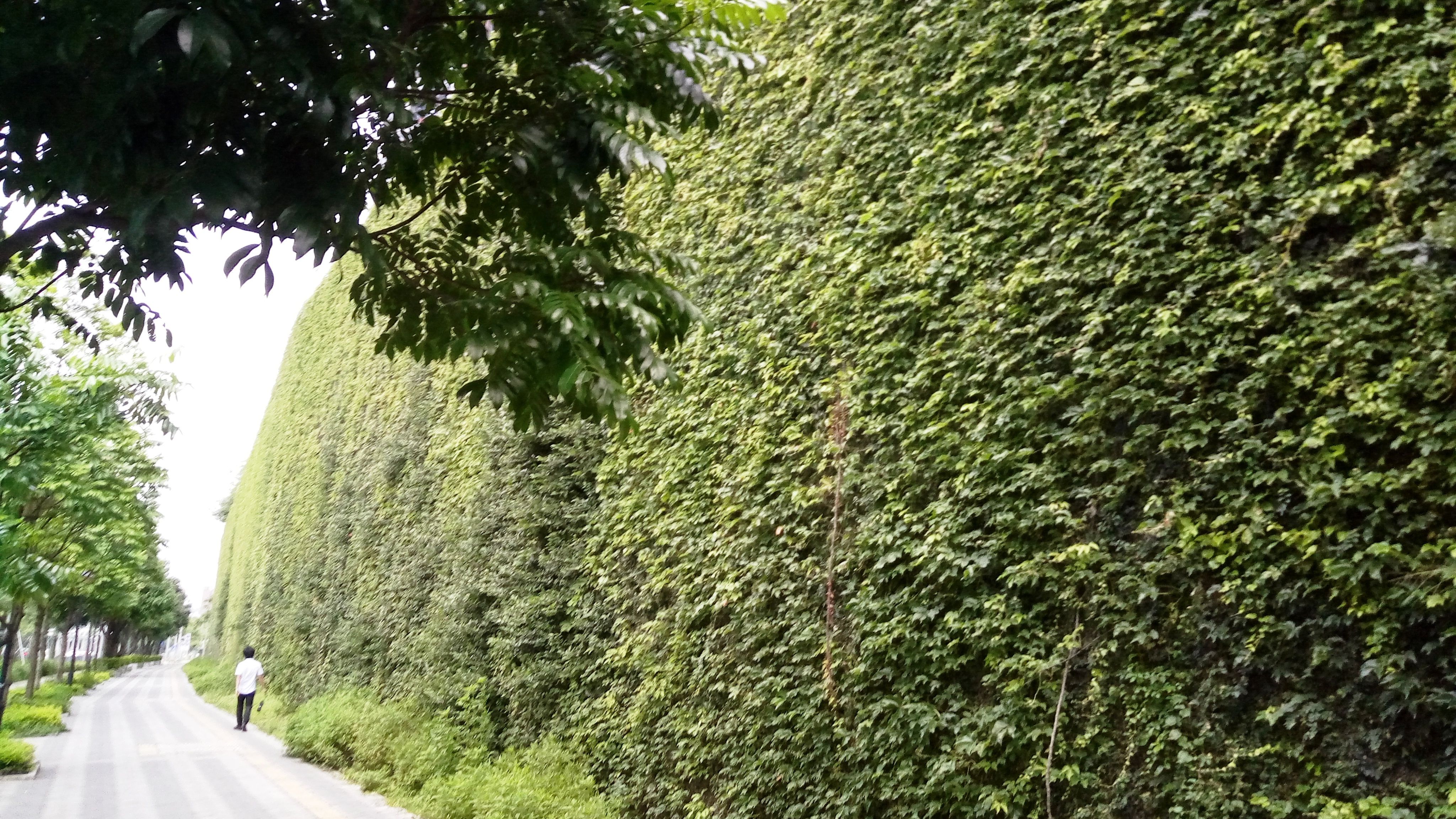 观澜高新技术产业园霸堪比深圳市内