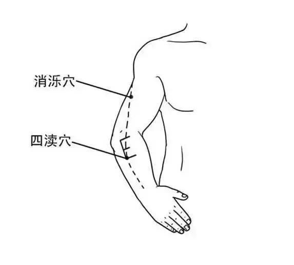 夏天减肥 先从消除拜拜肉开始
