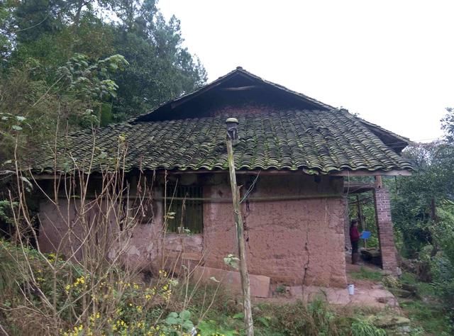 老人农村户口,子女城市户口,能继承农村宅基地