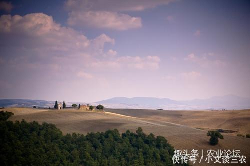 政府同意用招拍挂方式出让土地,要如何缴纳契