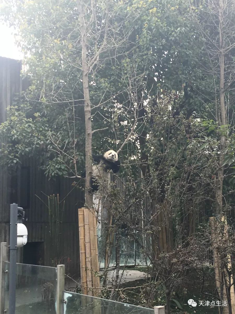 高考、中考结束后应该做什么?当然是去旅游啦