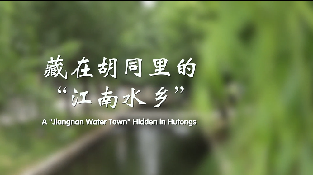 《聚焦全国文化中心建设成就》系列短视频之藏在胡同里的“江南水乡”