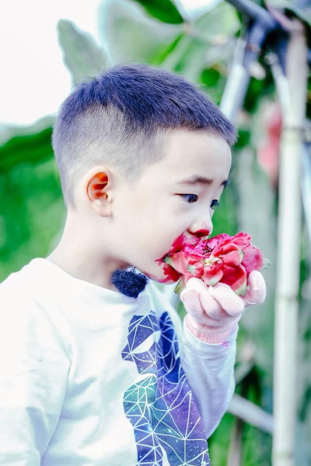 全网无差评萌娃jasper,带你看小甜椒如何制服黑脸老爸