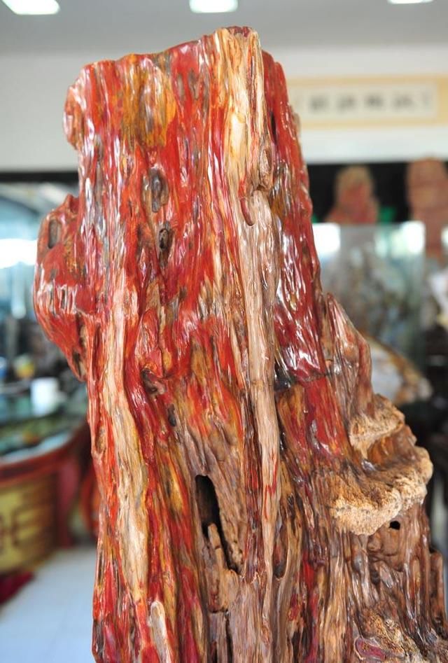 必须指出的是,除了白色与黑色,纯净的颜色在树化玉中也是很罕见的.