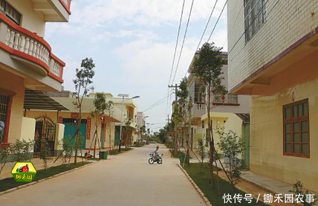 注意了!新农村建设要拆除旧房,这几种类型的房