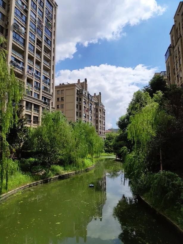 坚果PRO2S 相机样张实拍对比小米8SE、坚果PRO2