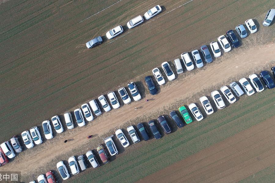 村民春节改麦田为停车场 一天收入2000元