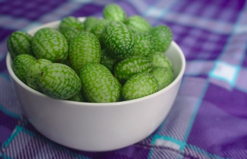 拇指西瓜好吃吗 拇指西瓜怎么吃