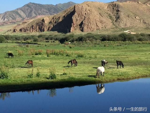 甘南桑科湿地,美的像是天堂流下的眼泪