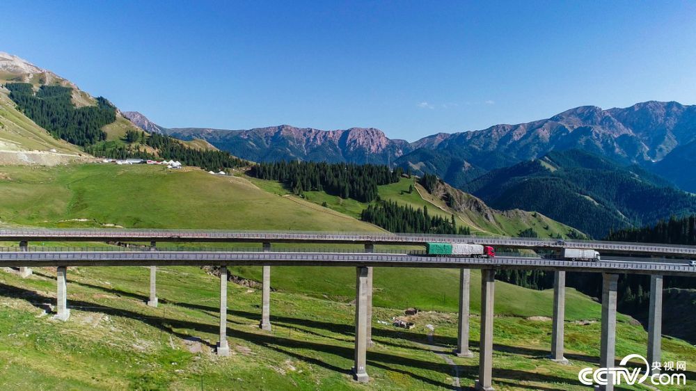 桥梁全长700米，桥面距谷底净高达200米，主塔高度分别为209米和215.5米。