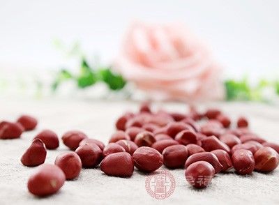 吃什么发奶快又多 多吃这些食物(2)