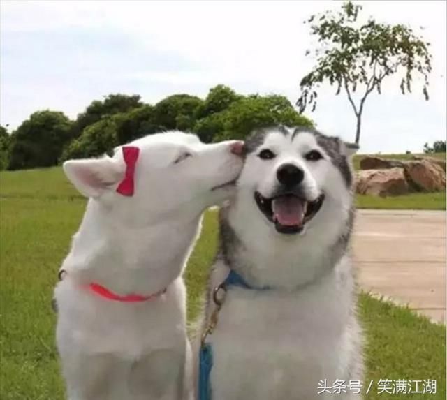 开心段子:富二代装屌丝被发现,女友,你好坏,怎么