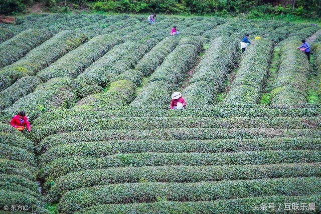 90后草根创业成功案例,分享与互联网创业们者