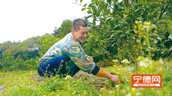 宁德网消息(记者 张文奎 文/图)3月11日,记者来到福安市溪潭镇王里村
