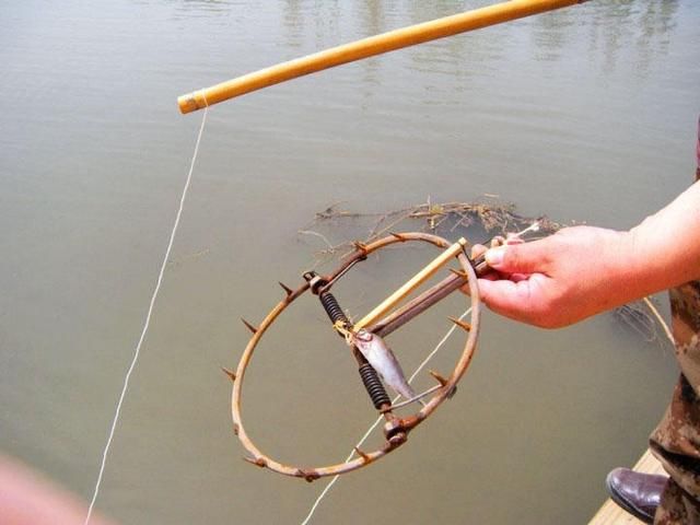 电鱼违法又危险,当下流行"控鱼夹",一夹一个准,月钓500斤