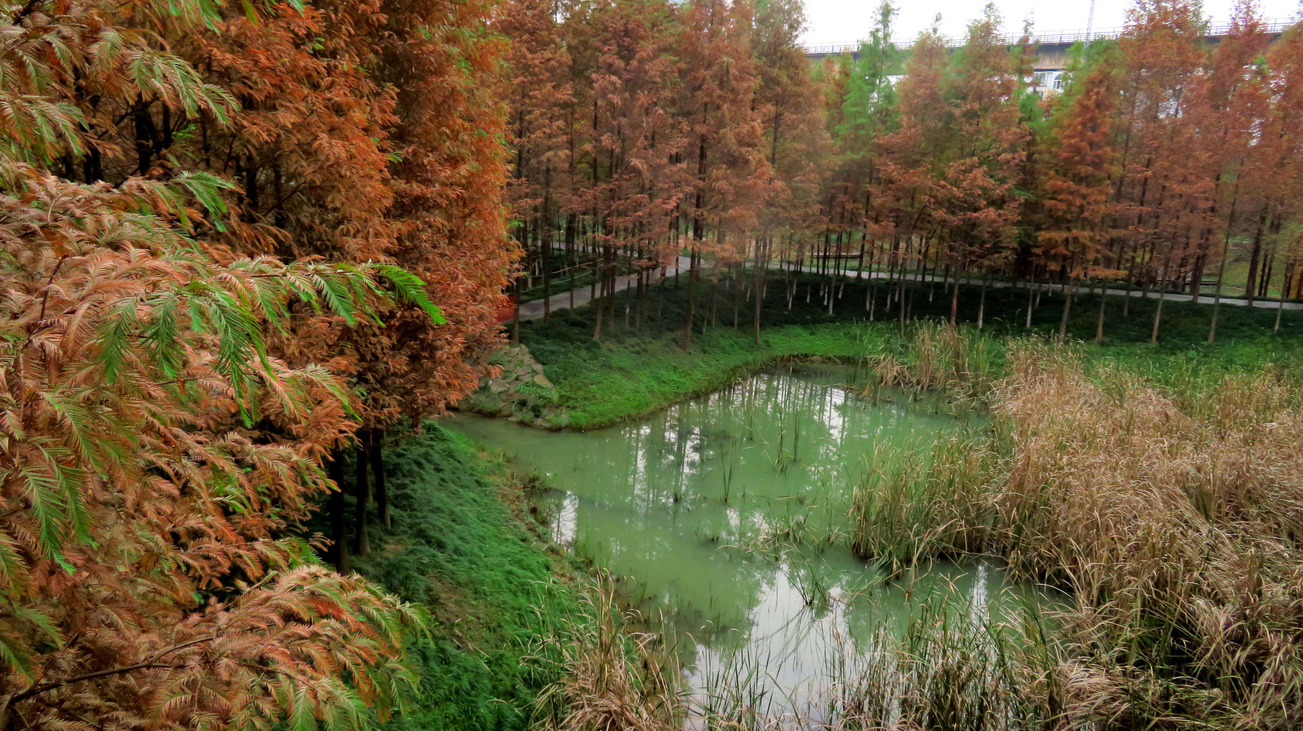 湖北宜昌最美的公園?這個公園冬季景觀美如畫