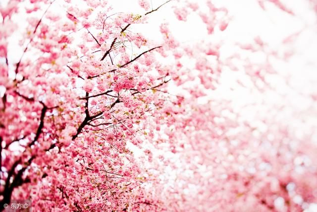 未来三个月偏印生财,这3生肖若能抓住机会,自