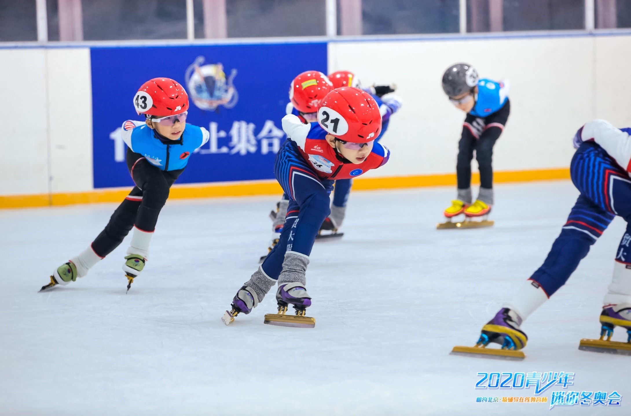 短道速滑小选手们进行训练
