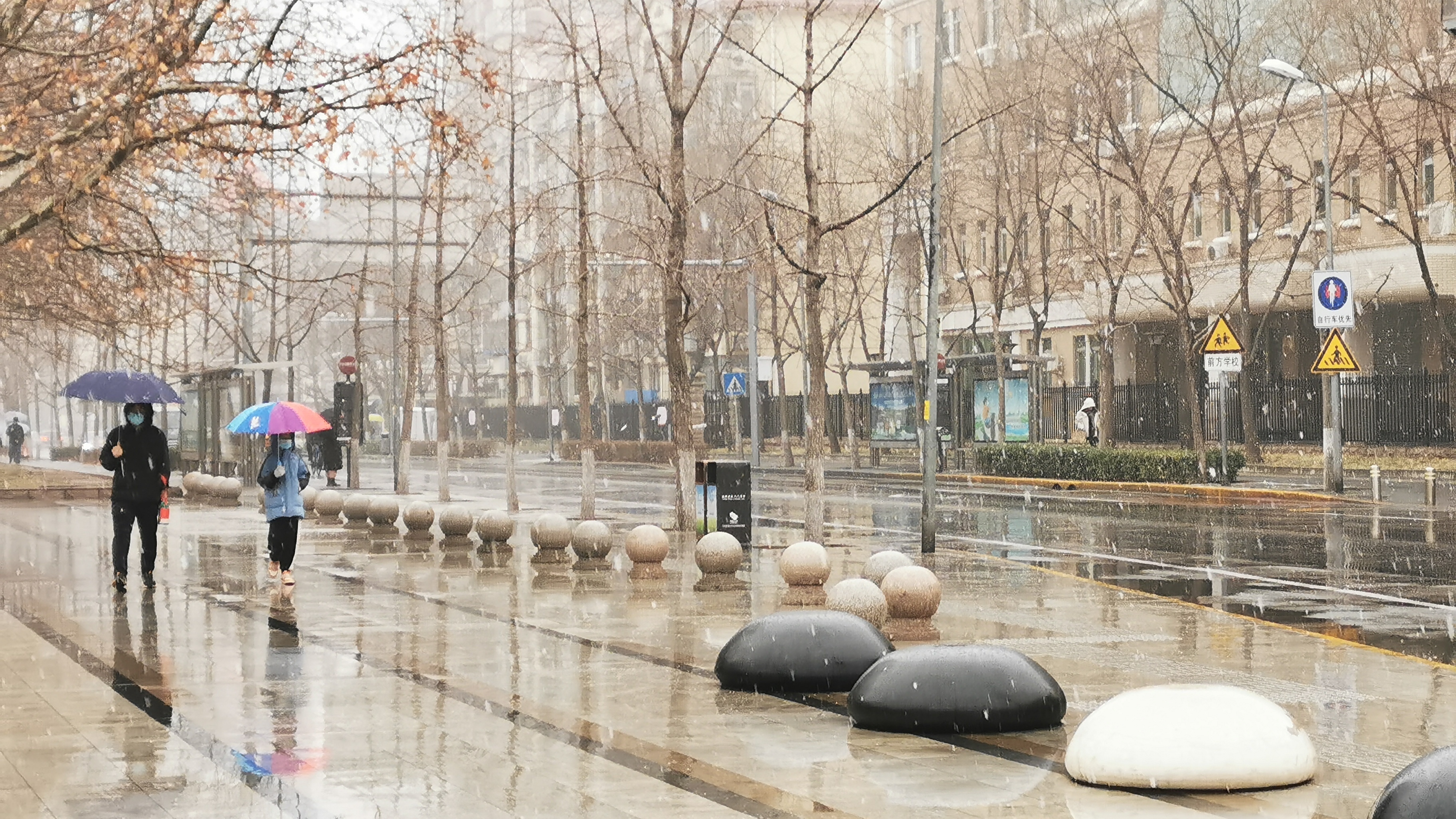 石景山今晨再迎飞雪 市民赏雪热情不减