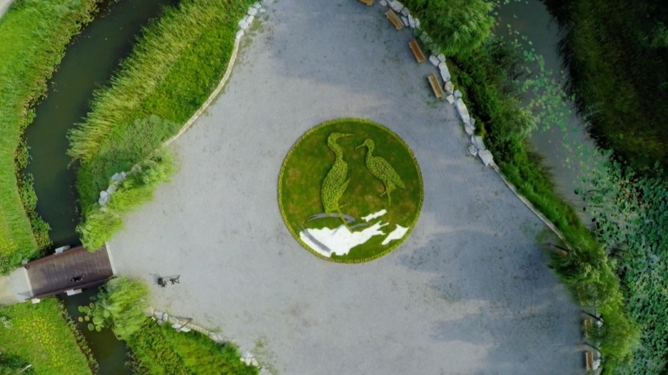 海淀美出范儿的湿地公园!网友:漂亮极了! 海淀美出范儿的湿地公园!网友:漂亮极了!